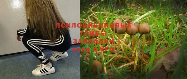 apvp Балахна