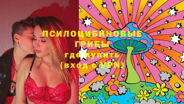 apvp Балахна