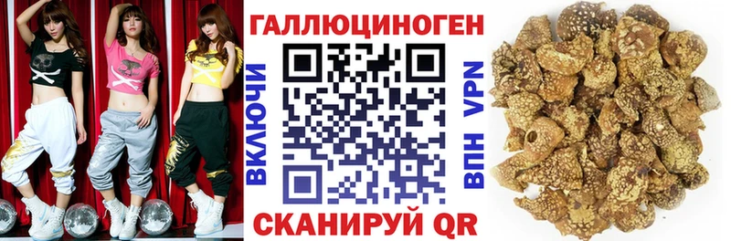 Галлюциногенные грибы мицелий  гидра вход  Геленджик 